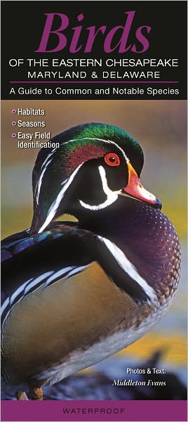 Birds of the Eastern Chesapeake - Maryland and Delaware: A Guide to Common and Notable Species