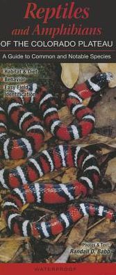 Reptiles and Amphibians of the Colorado Plateau: A Guide to Common and Notable Species
