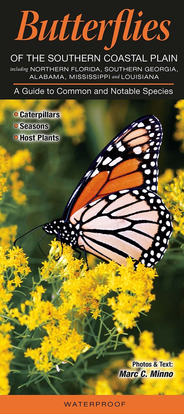 Butterflies of the Southern Coastal Plain including Northern Florida, Southern Georgia, Alabama, Mississippi and Louisiana: A Guide to Common and Notable Species