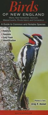 Birds of New England: A Guide to Common & Notable Species