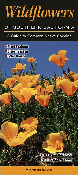 Wildflowers of Southern California: A Guide to Common and Notable Species