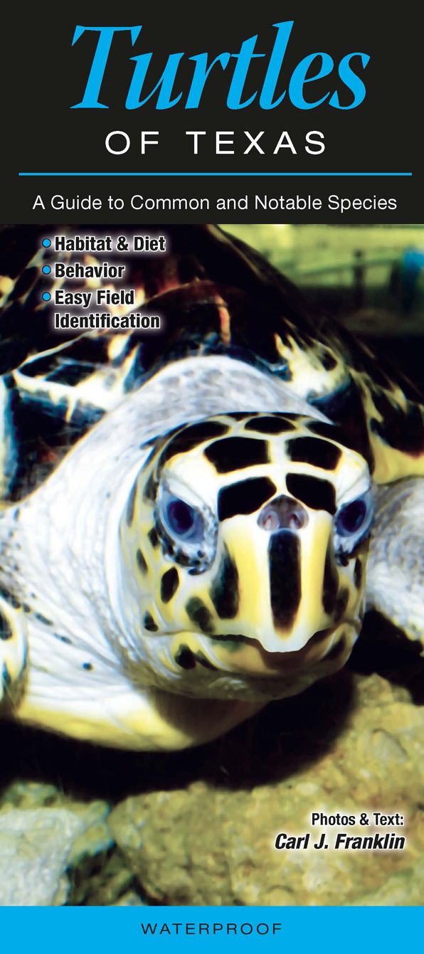 Turtles of Texas: A Guide to Common & Notable Species