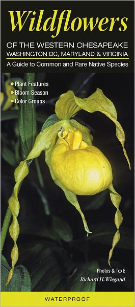 Wildflowers of the Western Chesapeake - Washington DC, Maryland, Virginia: A Guide to Common and Rare Native Species