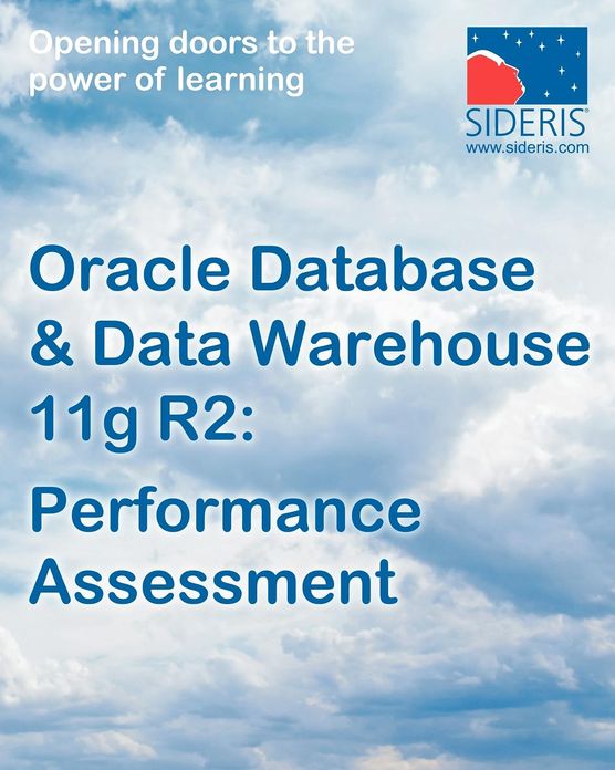 Oracle Database & Data Warehouse 11g: Performance Assessment