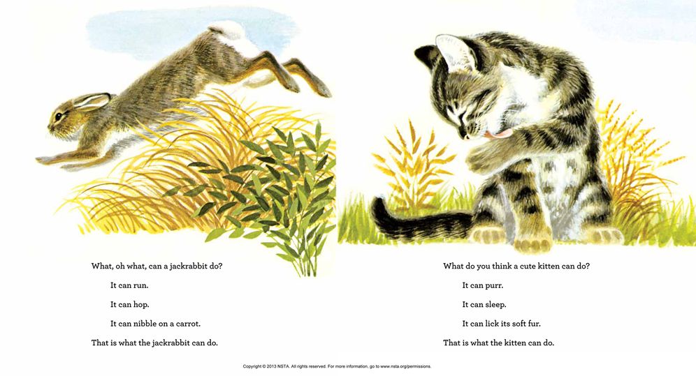 What Can an Animal Do?