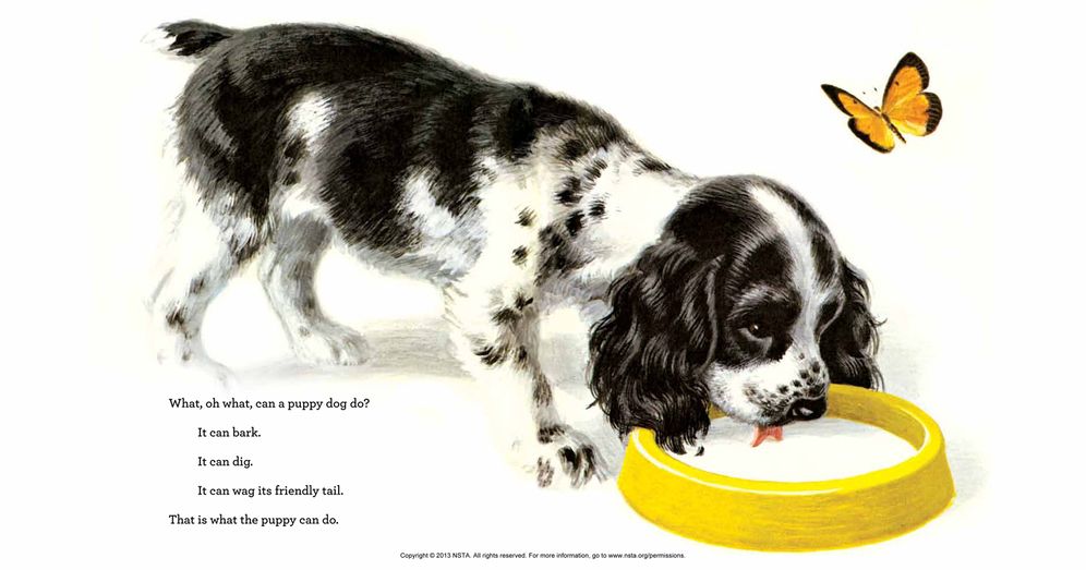 What Can an Animal Do?