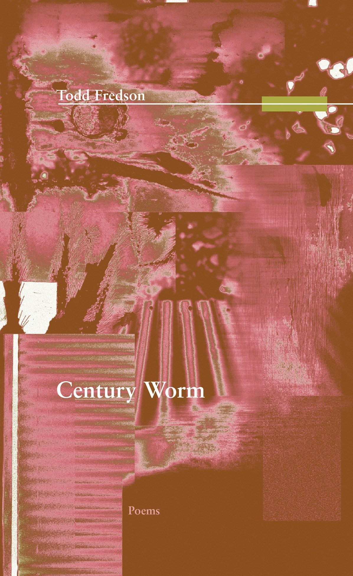Century Worm