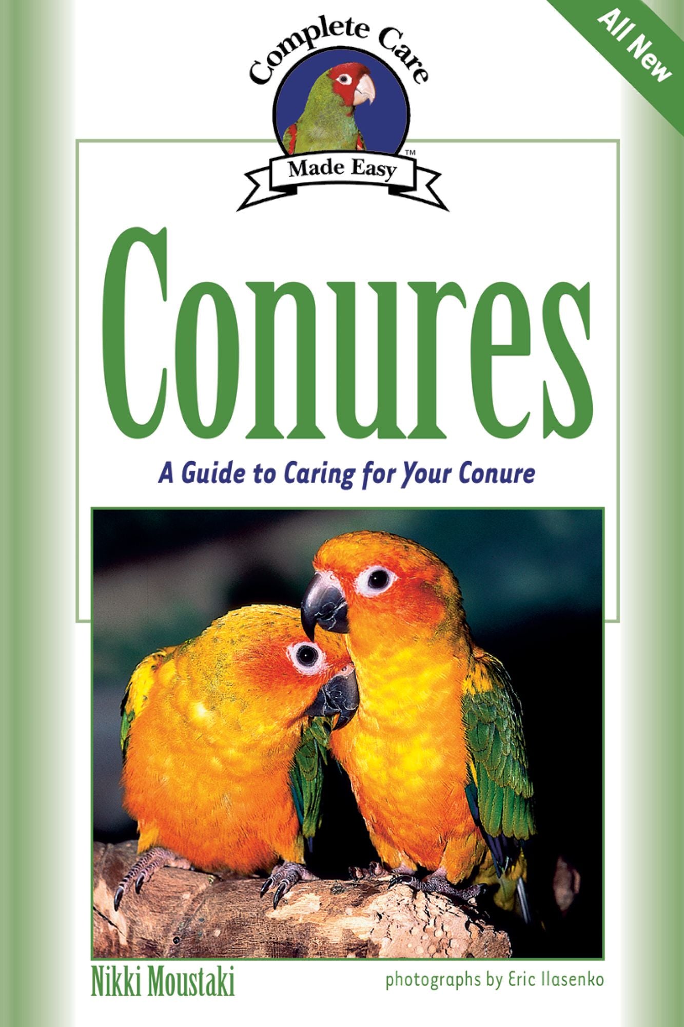Conures: A Guide to Caring for Your Conure