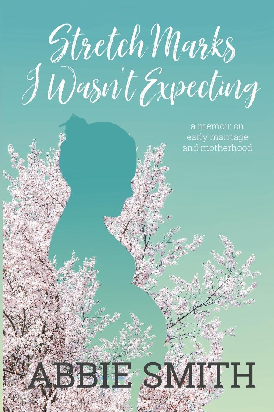 Stretch Marks I Wasn't Expecting: A Memoir on Early Marriage and Motherhood