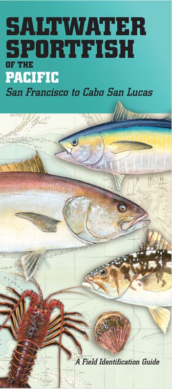 Saltwater Sportfish of the Pacific: San Francisco to Cabo San Lucas