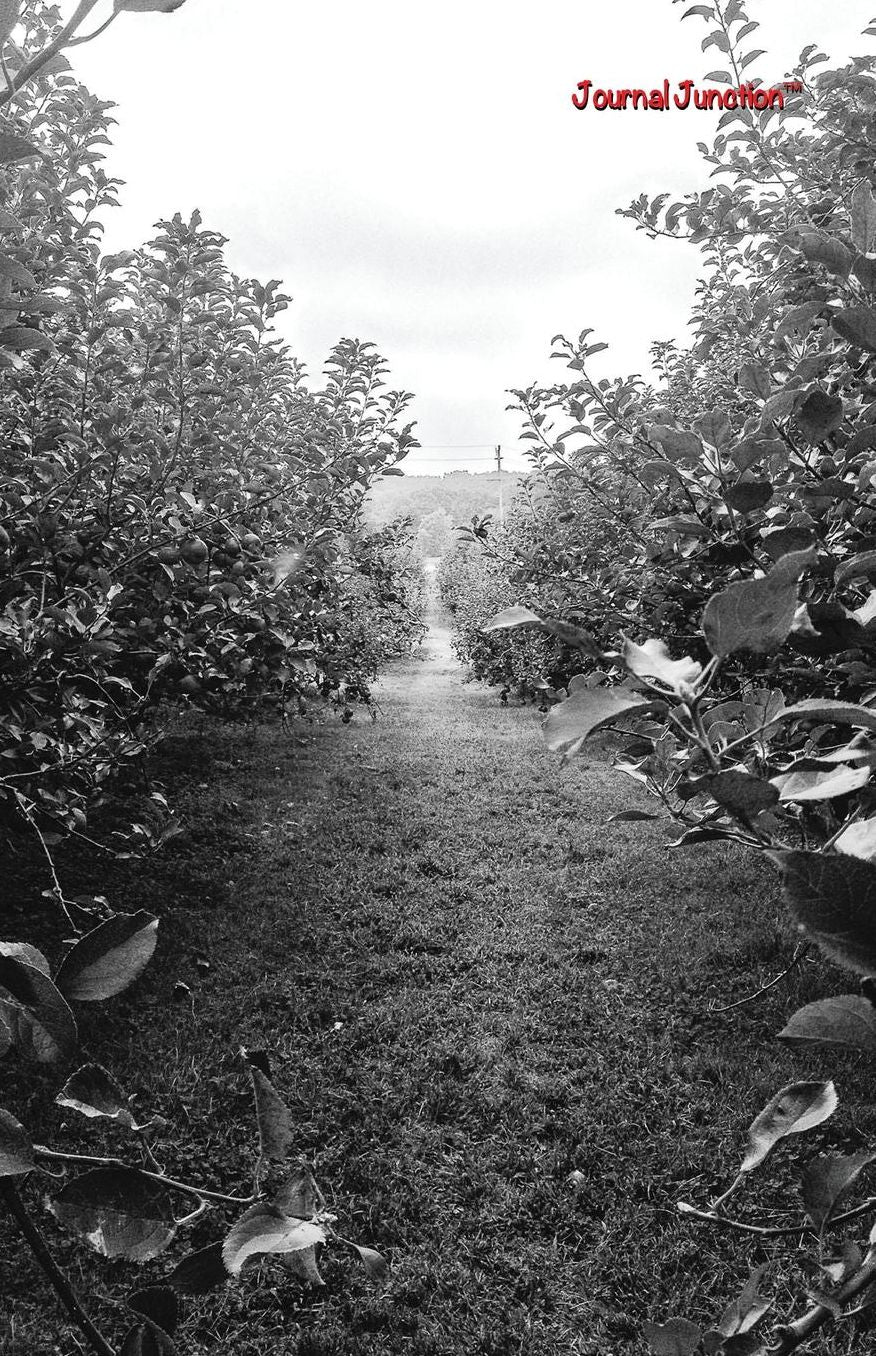 Journal Junction - Steph's Path