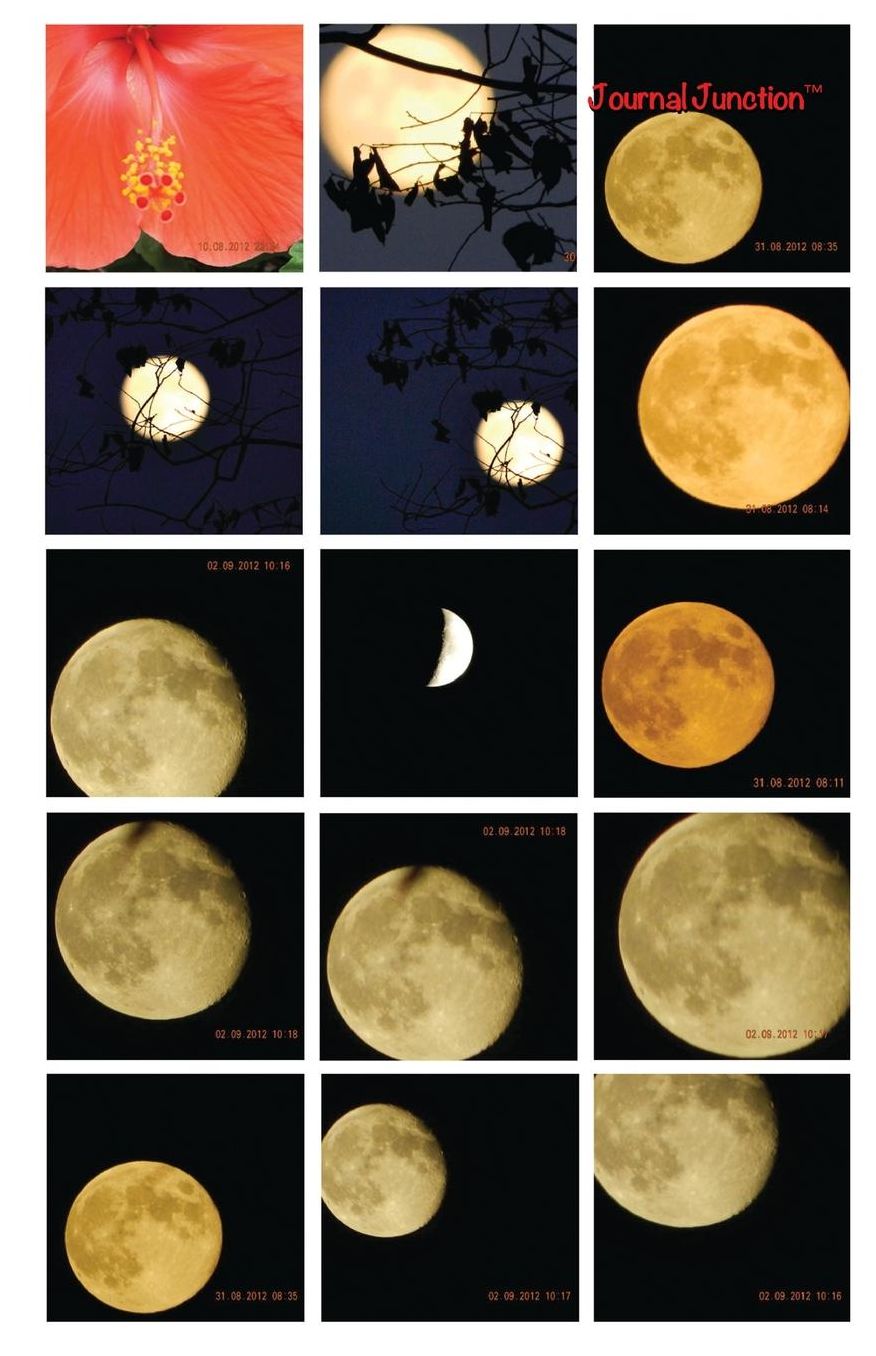 Journal Junction - Stalking the Moon