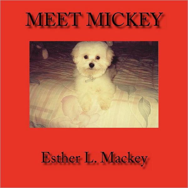 Meet Mickey