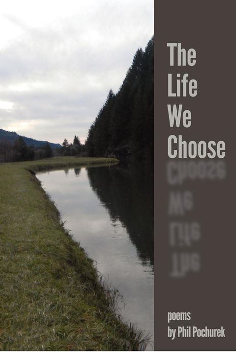 The Life We Choose: Poems