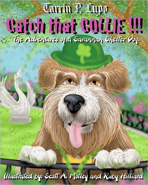 Catch That Collie