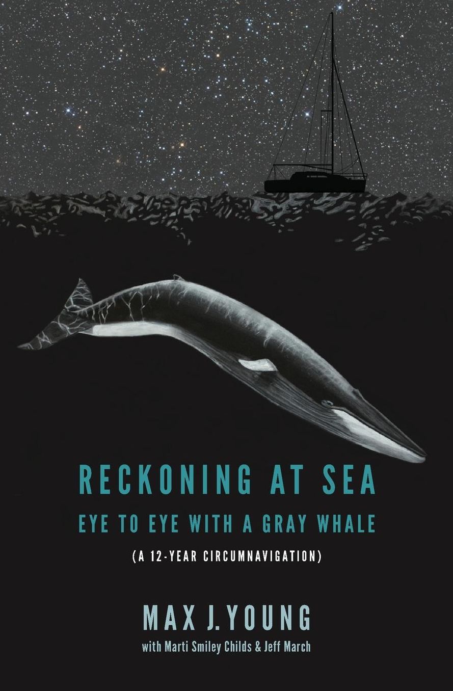 Reckoning at Sea: Eye to Eye with a Gray Whale