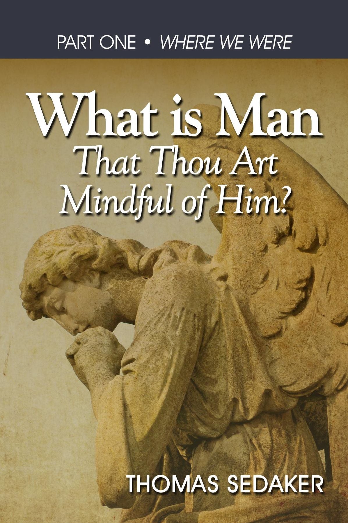 What is Man That Thou Art Mindful of Him?: WHERE WE WERE