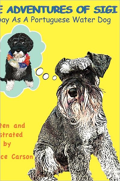 The Adventures Of Sigi-A Day As A Portuguese Water Dog