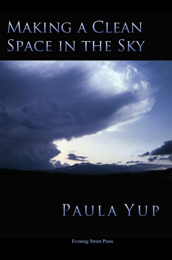 Making a Clean Space in the Sky