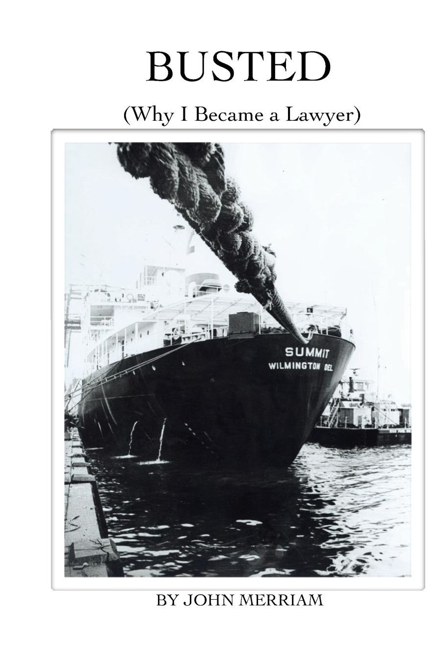 Busted: (Why I Became a Lawyer)
