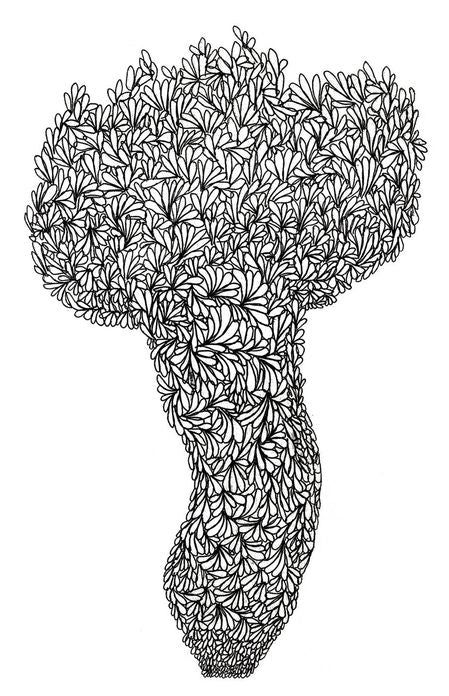 CABBAGE LANGUAGE