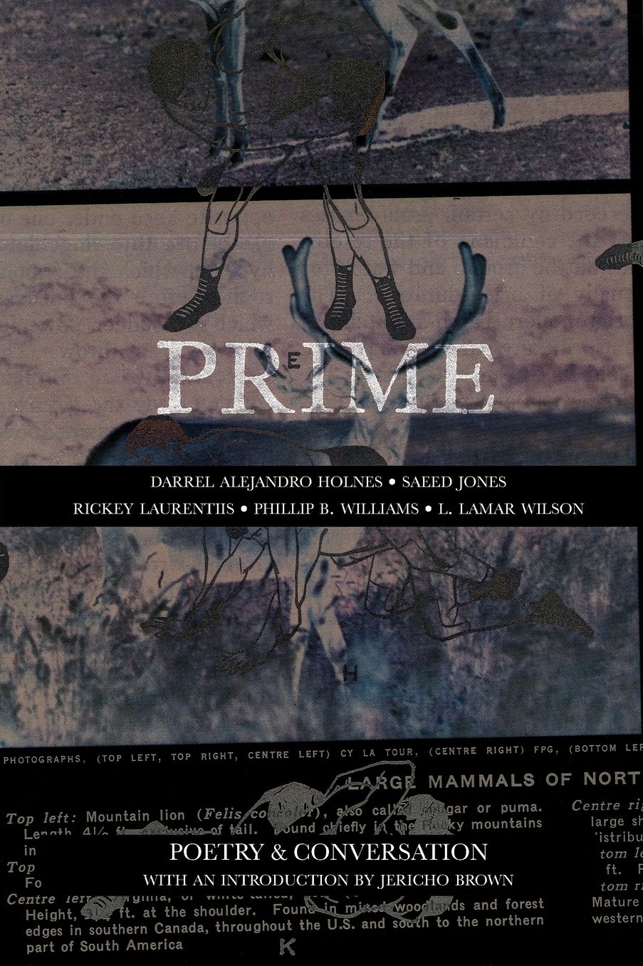 Prime: Poetry & Conversation