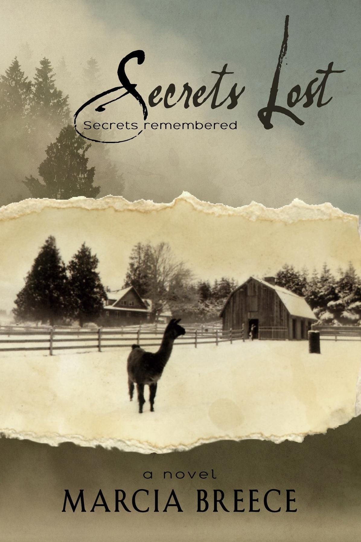 Secrets Lost: Secrets Remembered