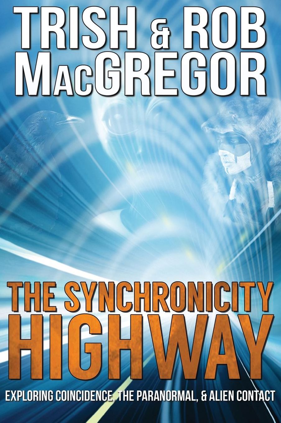 The Synchronicity Highway