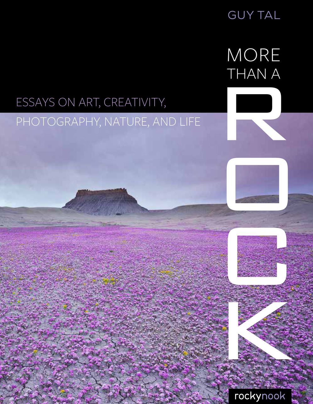 More Than a Rock: Essays on Art, Creativity, Photography, Nature, and Life