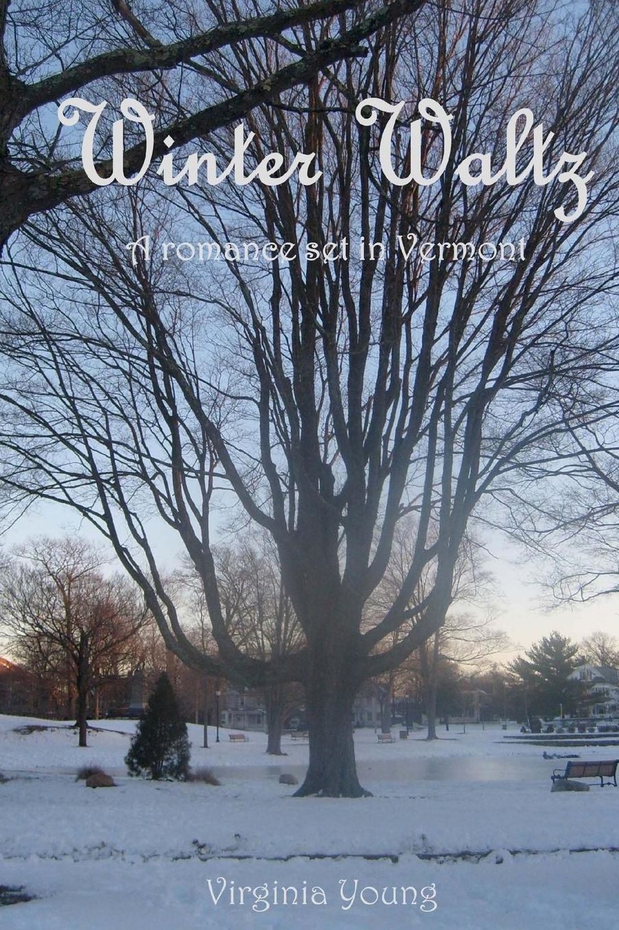 Winter Waltz: A romance novel set in Vermont
