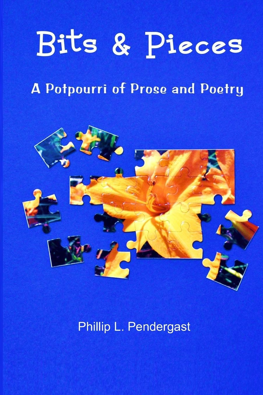 Bits & Pieces: A Potpourri of Prose and Poetry
