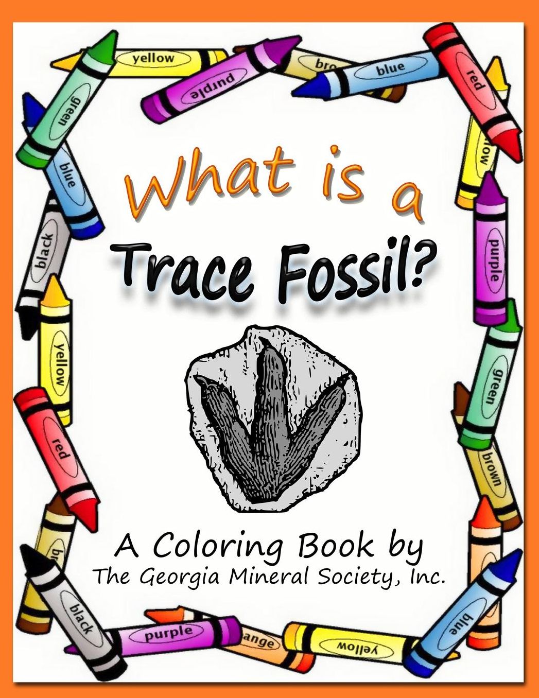 What is a Trace Fossil?: A Coloring Book by The Georgia Mineral Society, Inc.