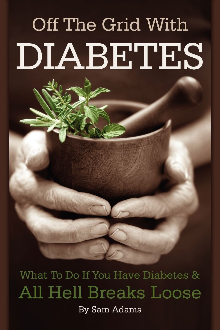Off the Grid with Diabetes: What to Do If You Have Diabetes and All Hell Breaks Loose