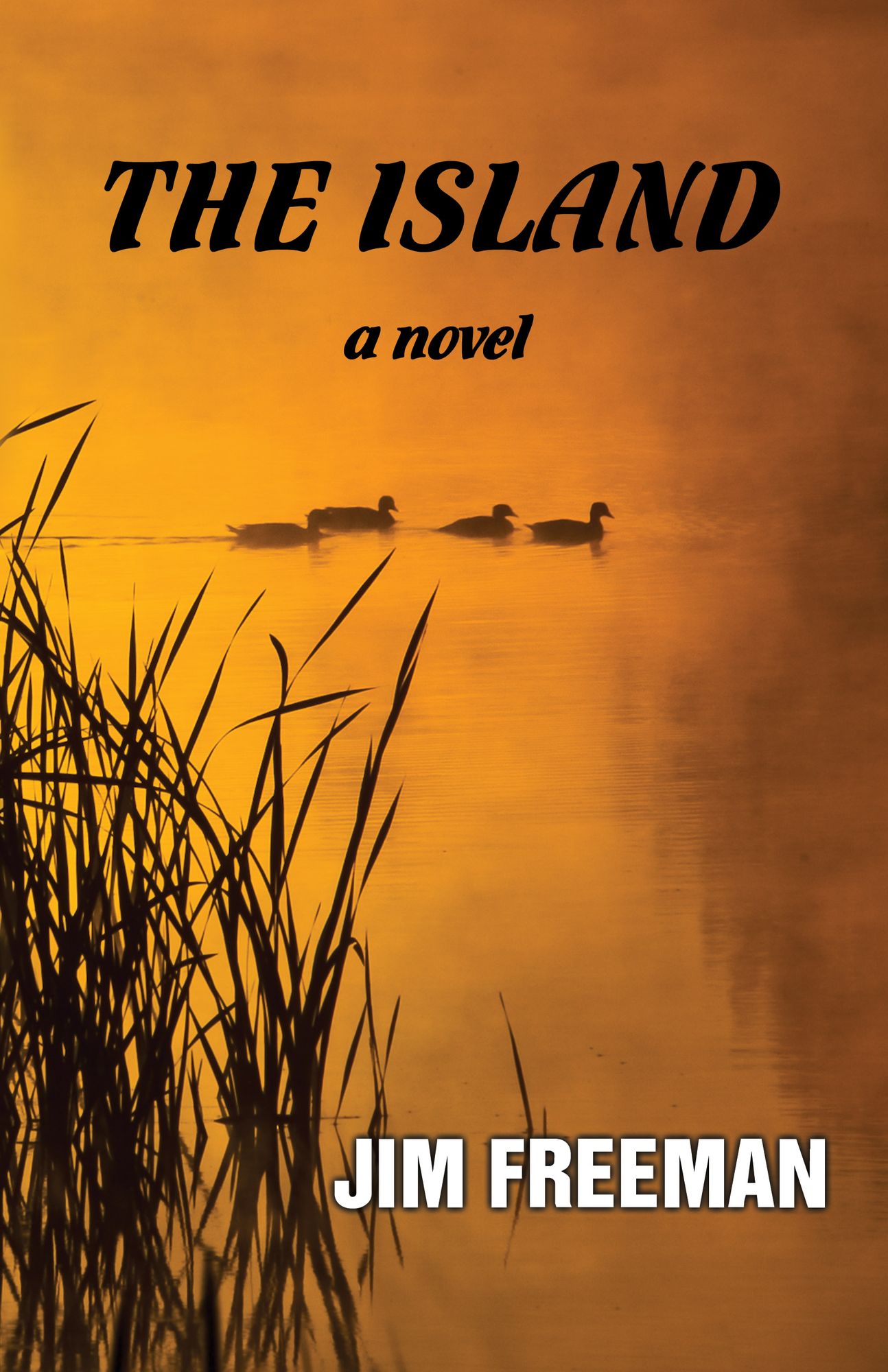The Island: A Novel