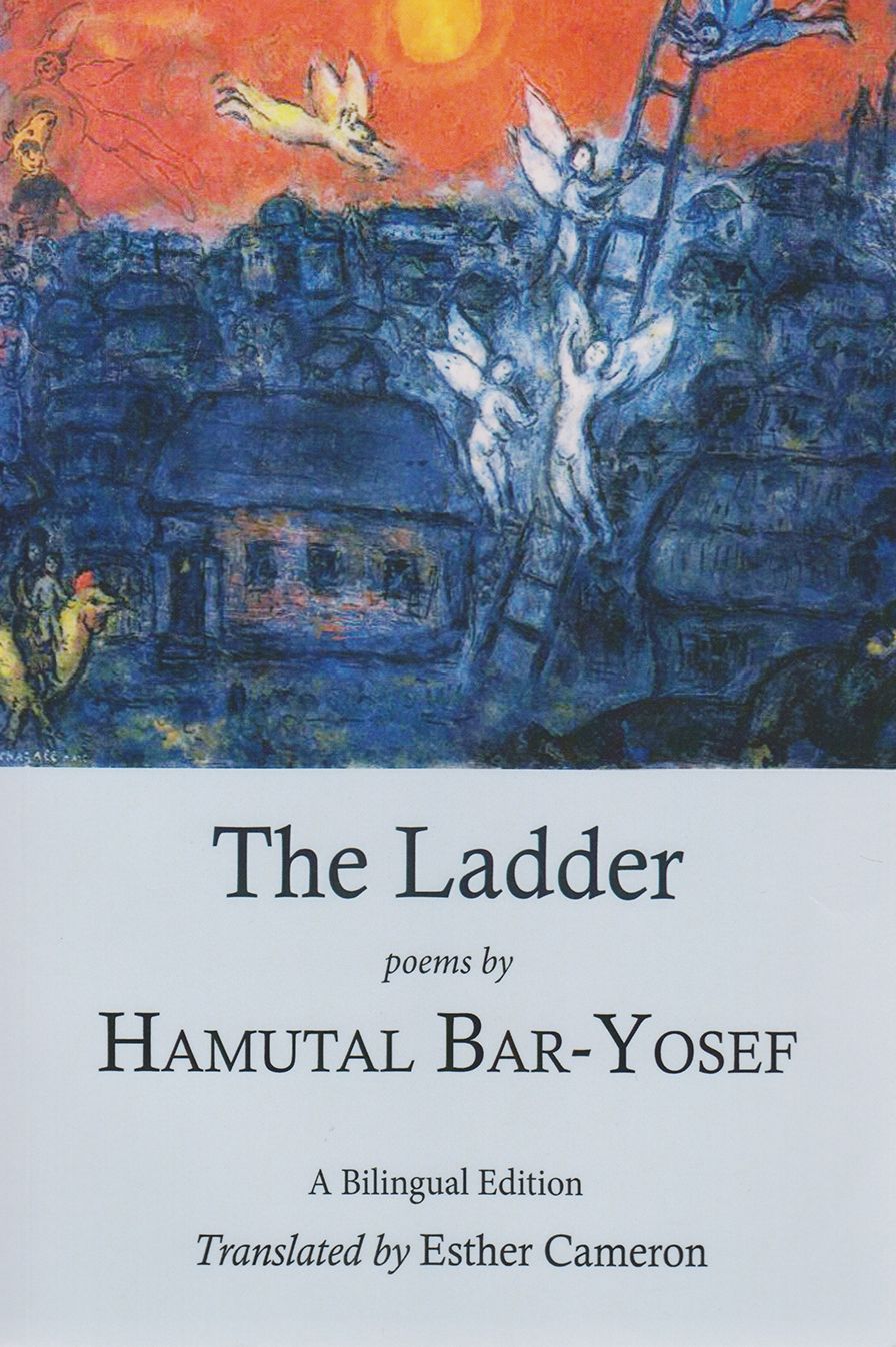 The Ladder