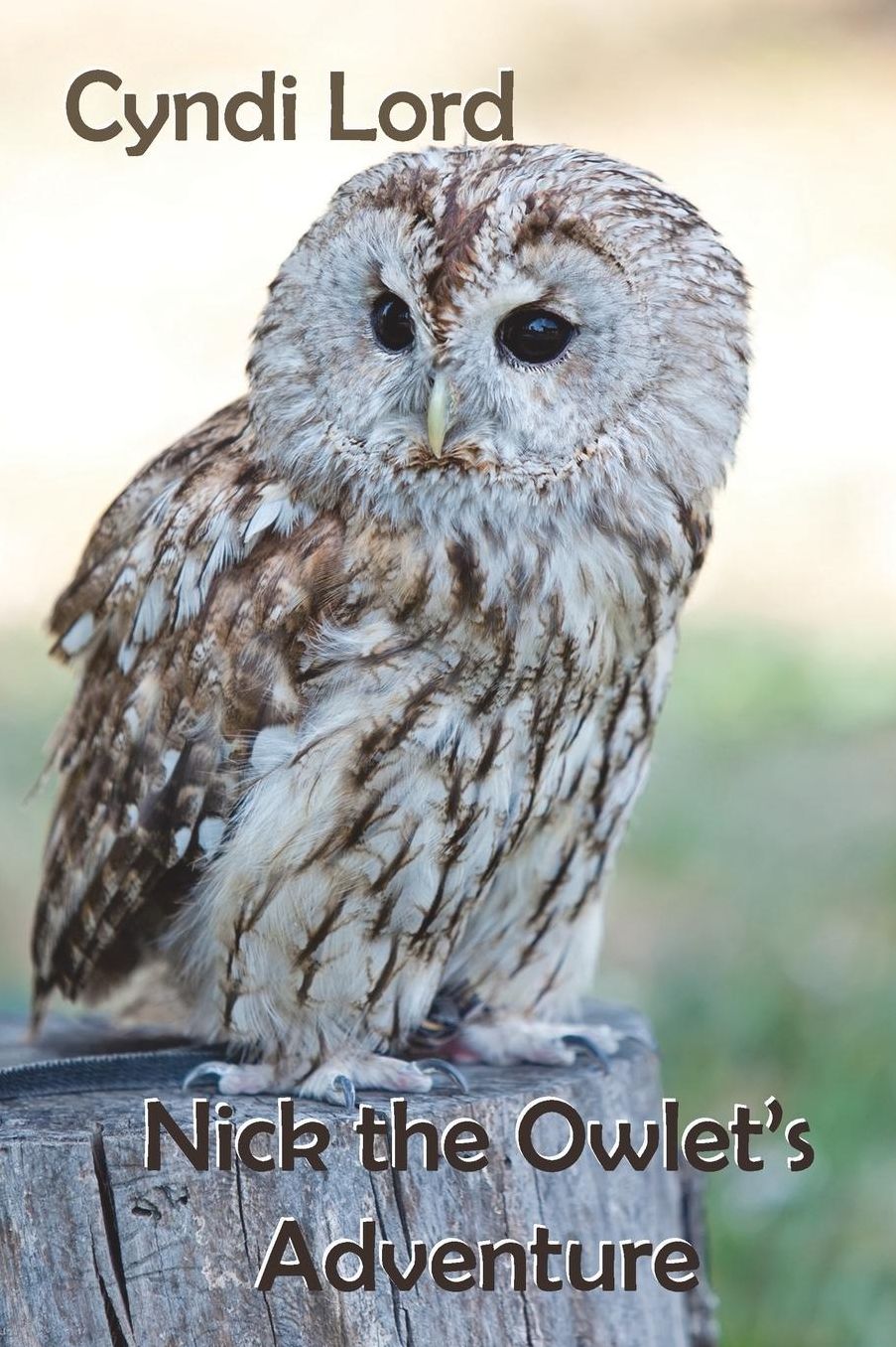 Nick the Owlet's Adventure