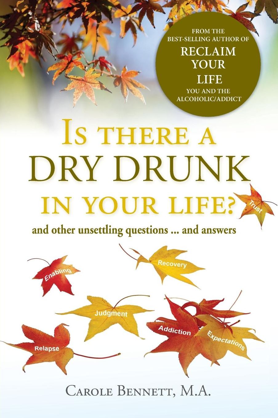Is There a Dry Drunk in Your Life?