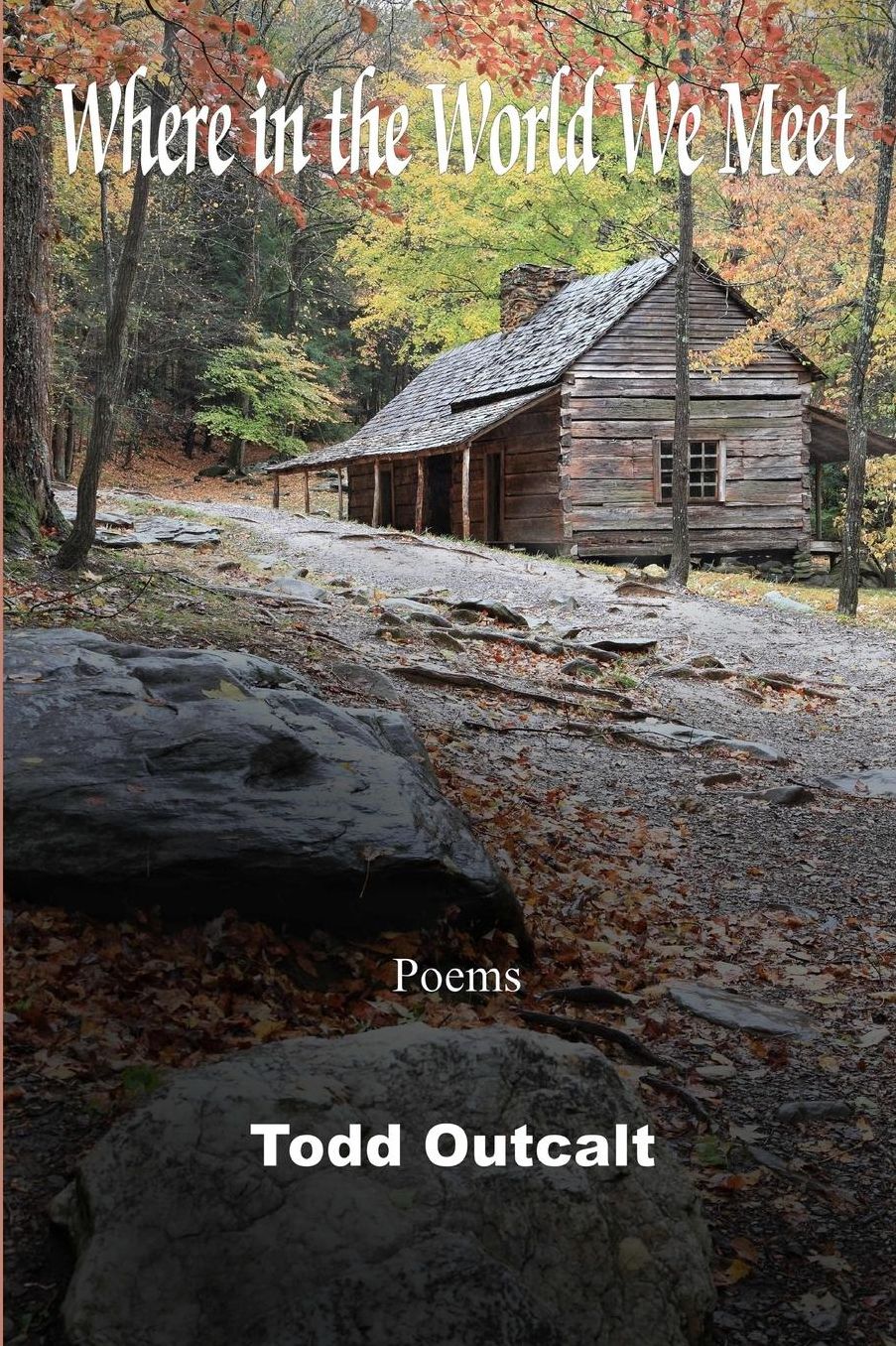 Where in the World We Meet: Poems