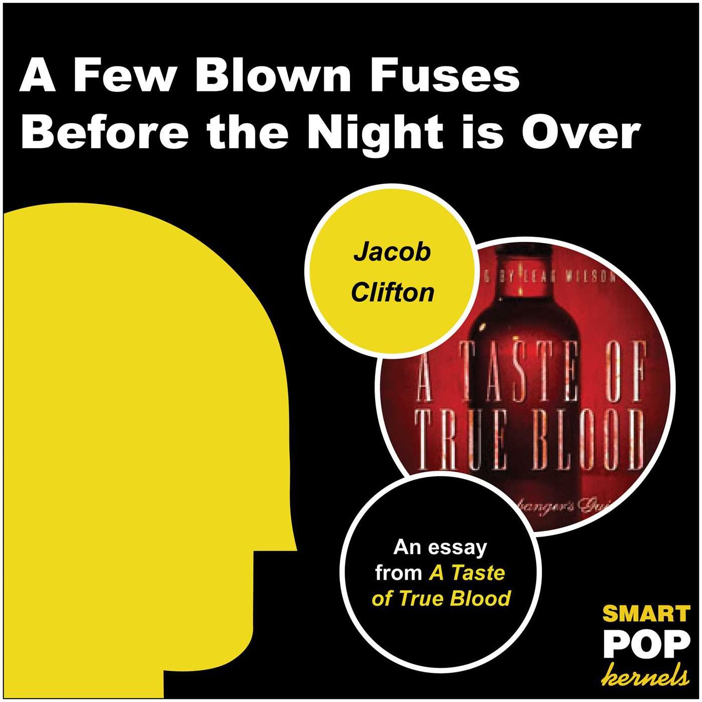 A Few Blown Fuses Before the Night is Over: An Essay on True Blood