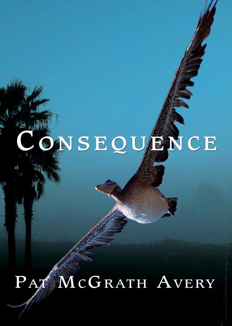 Consequence