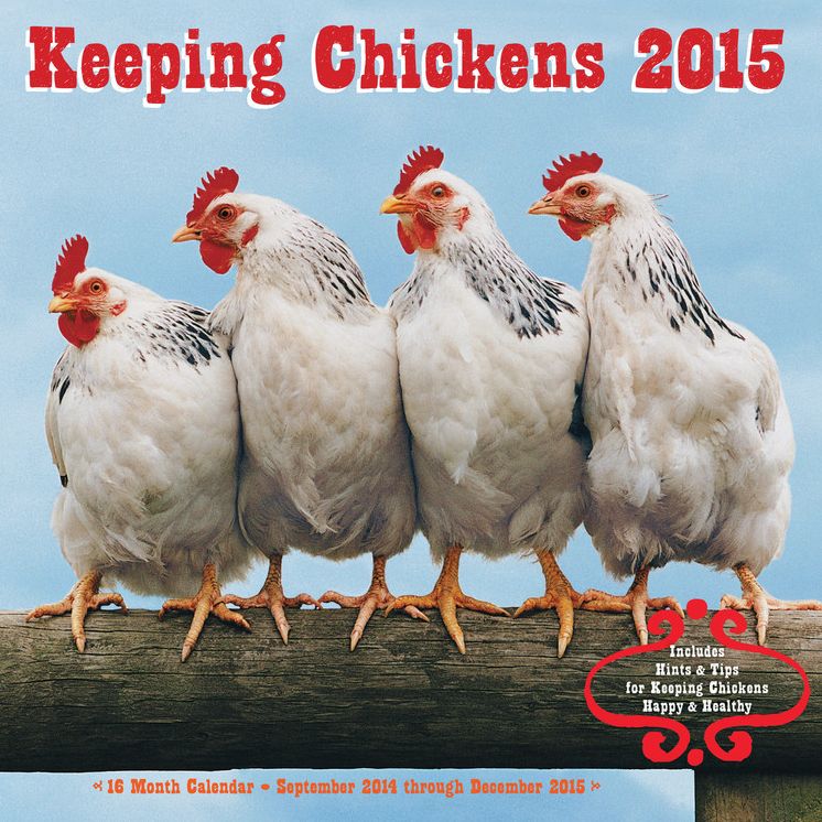 Keeping Chickens 2015: 16-Month Calendar, September 2014 through December 2015