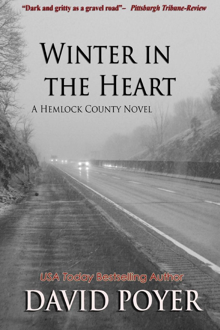 Winter in the Heart (Hemlock County Series)