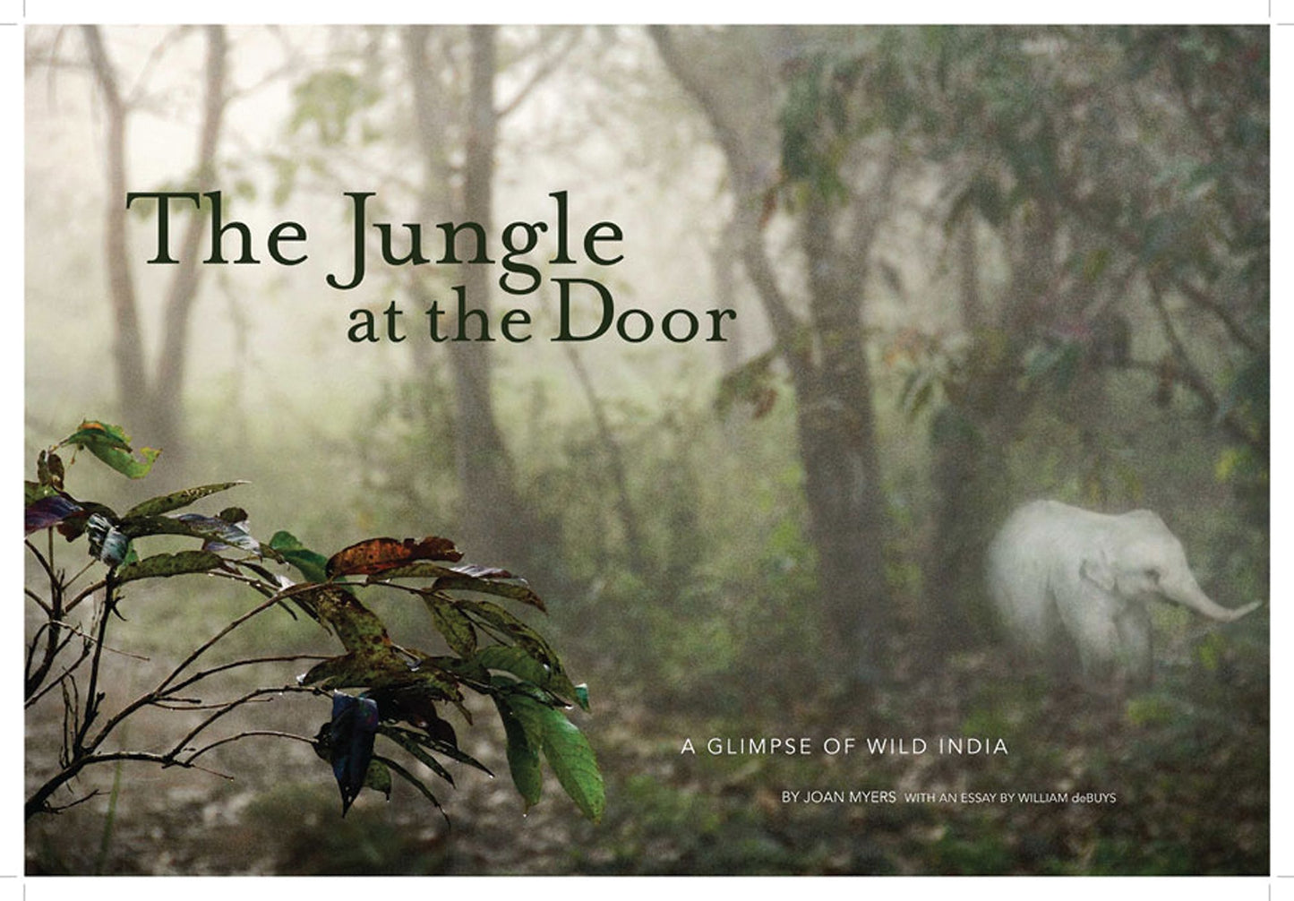 Jungle at the Door: A Glimpse of Wild India