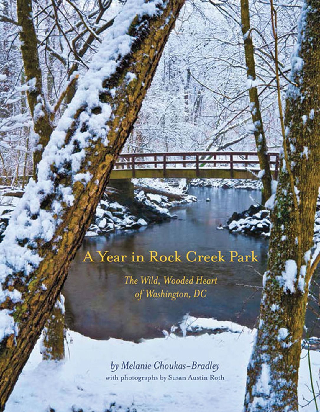 A Year in Rock Creek Park: The Wild, Wooded Heart of Washington, DC
