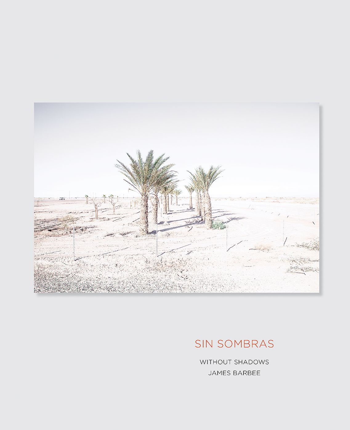 Sin Sombras / Without Shadows: A Search for the Meaning of Life, if There Is One, in the California Desert in Photographs and Stories