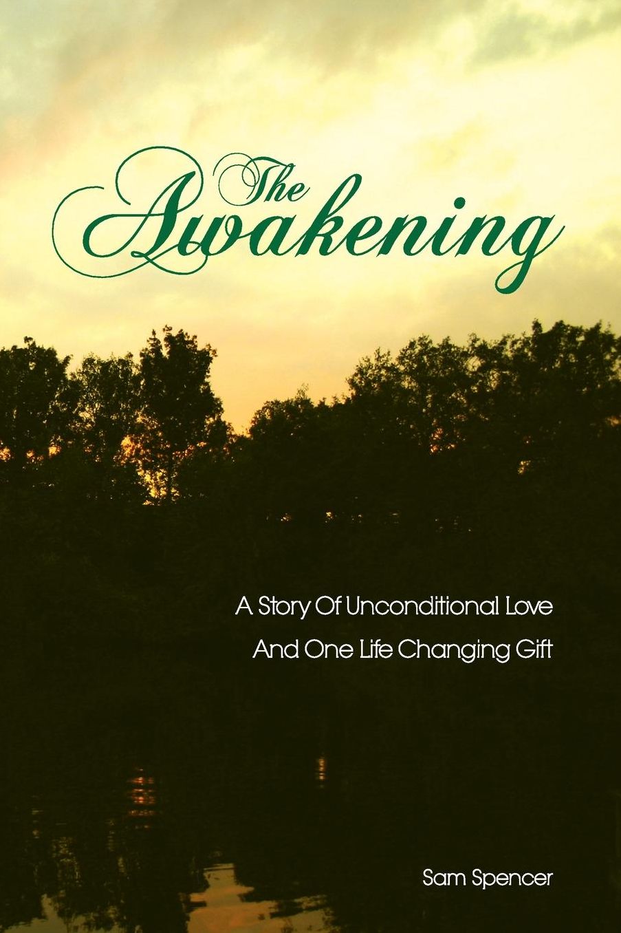 The Awakening: A Story of Unconditional Love and One Life Changing Gift