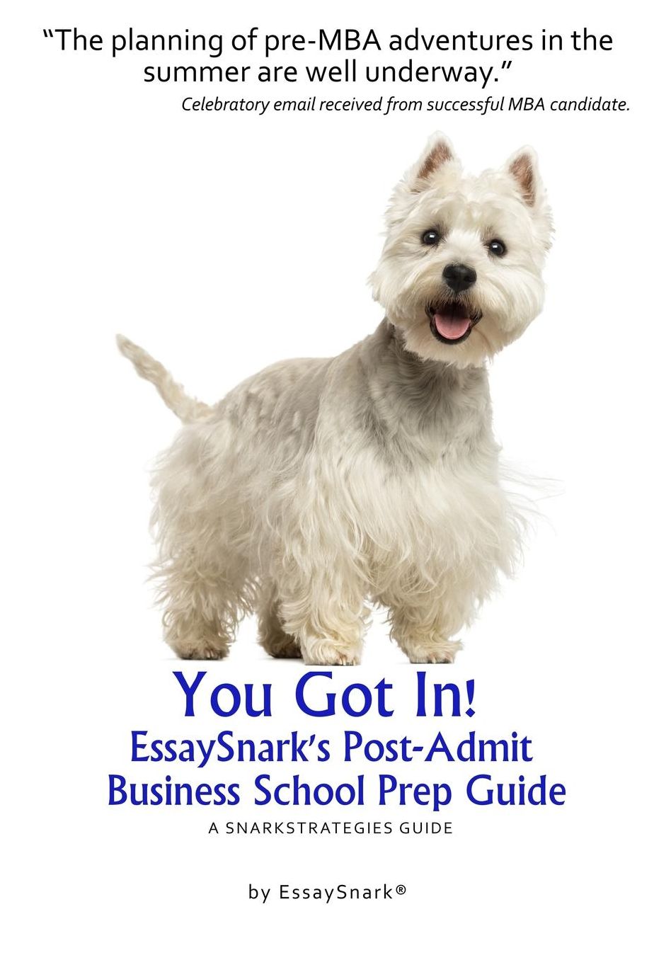 YOU GOT IN!! EssaySnark's Post-Admit Business School Prep Guide: A SnarkStrategies Guide