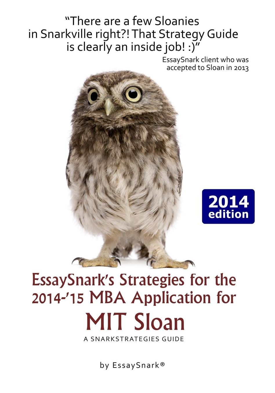 EssaySnark's Strategies for the 2014-'15 MBA Application for MIT Sloan: A SnarkStrategies Guide