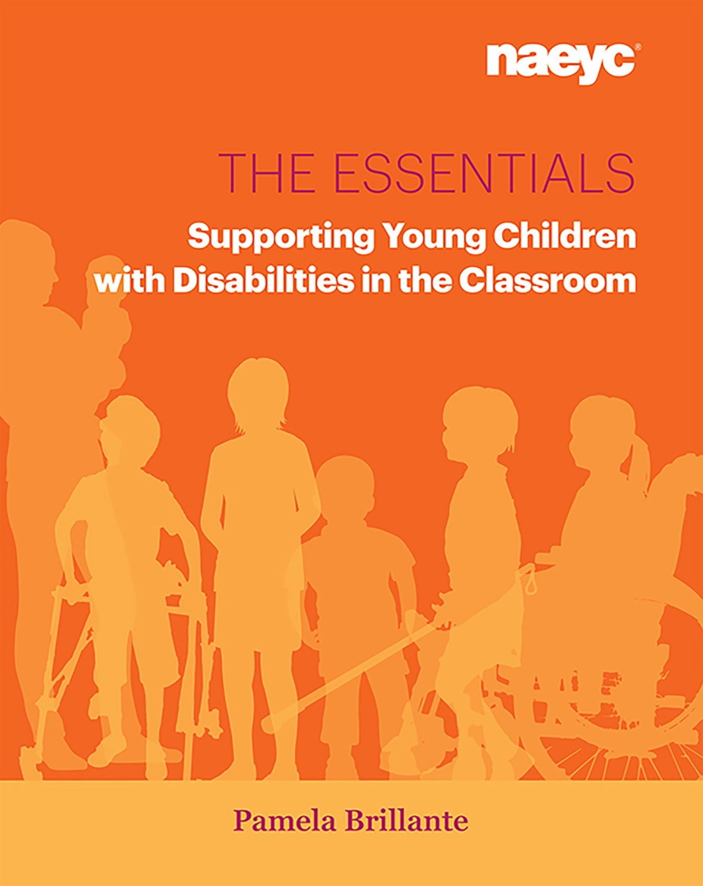 Essentials: Supporting Young Children with Disabilities in the Classroom