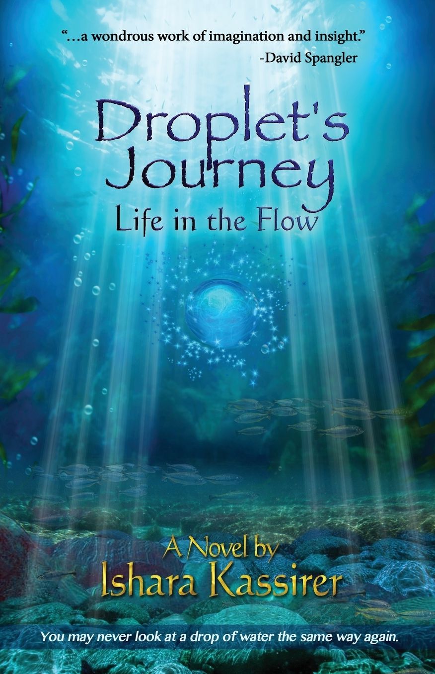 Droplet's Journey: Life in the Flow